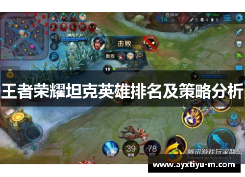 王者荣耀坦克英雄排名及策略分析