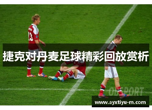 捷克对丹麦足球精彩回放赏析